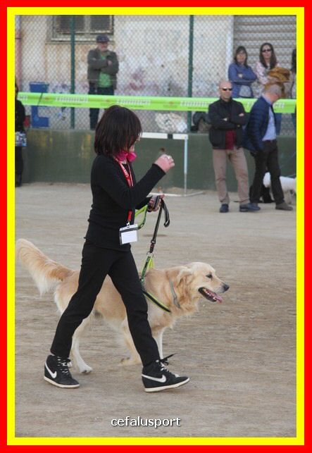 180311 mostra_canina 181.jpg